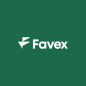 Favex Technology Limited logo